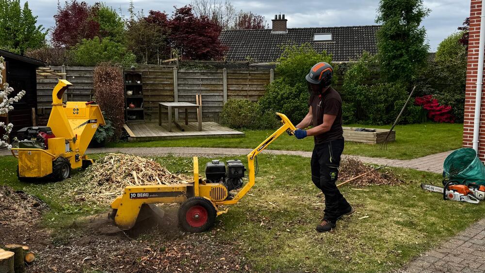 Stronkfrees aan het werk in een achtertuin